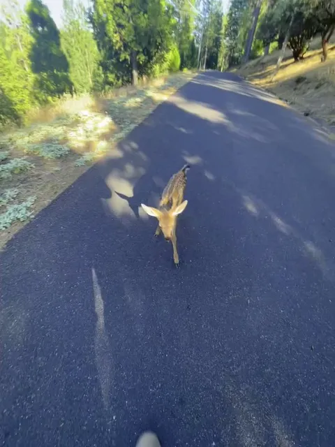 Out on my walk, then this kid comes up to me