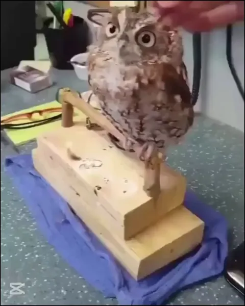 The look of shock. “Like what the hell just happened and why did you stop?”