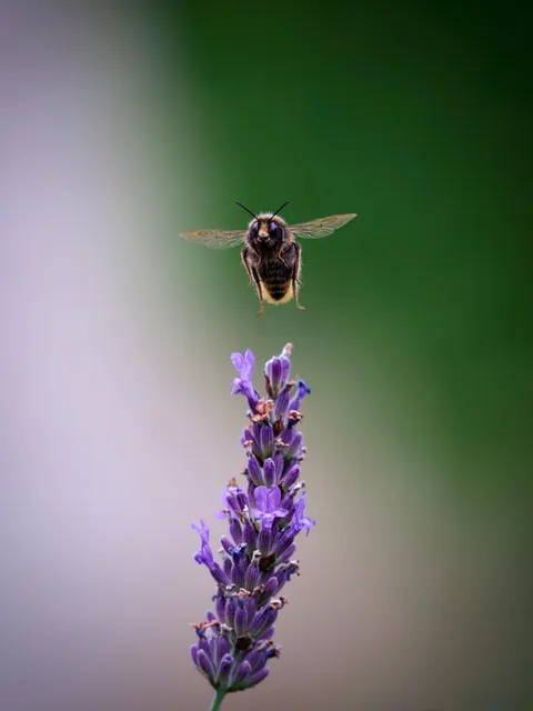 I'd appreciate constructive critique