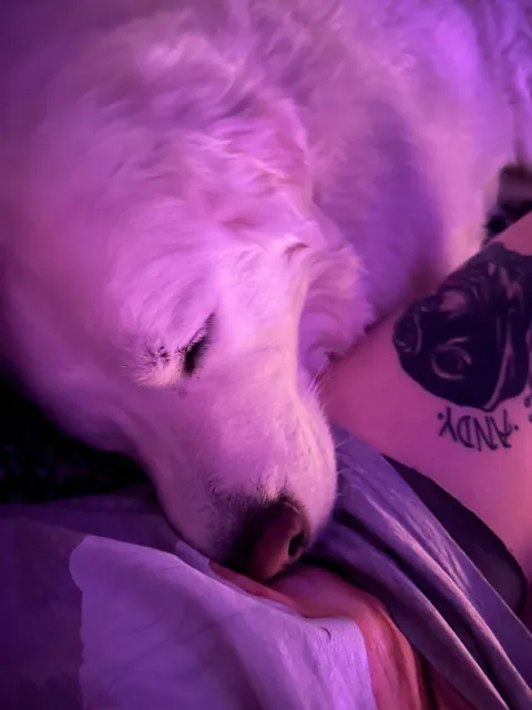 One year ago today, I adopted my sweet boy Mr. Mister!!