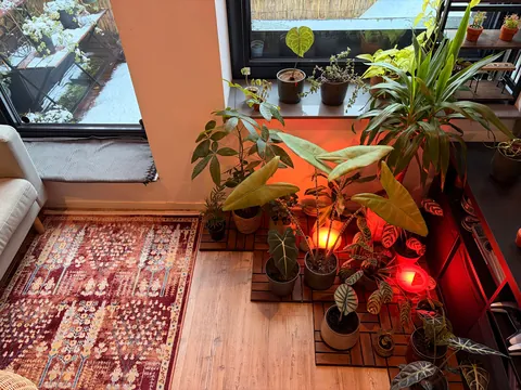 Our cozy 32m² studio apartment + tiny balcony in the Netherlands on a snowy day