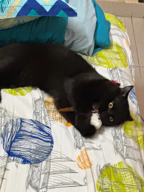 First Time Posting Him