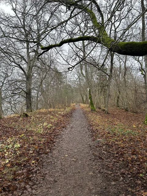 No quiet like November quiet. Estonia