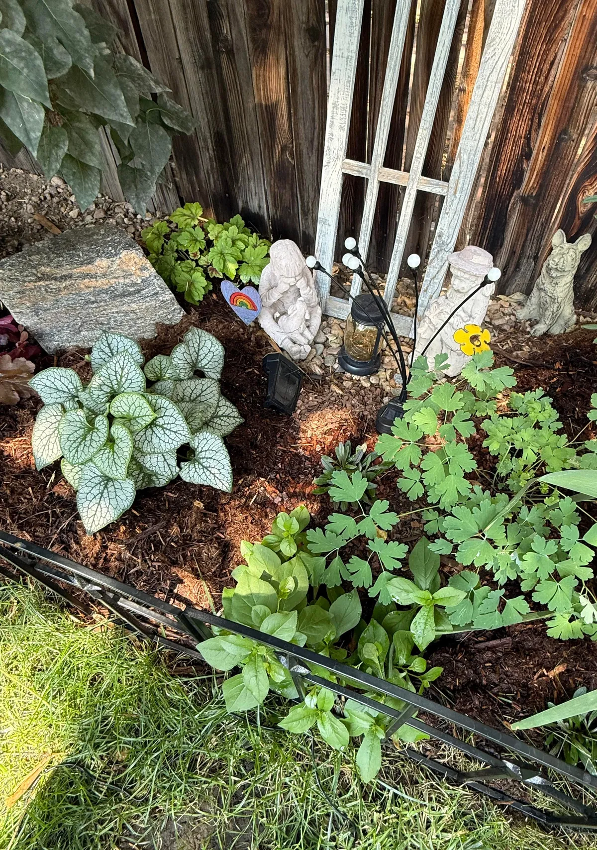 My 2nd year gardening, and I’m proud to share ‘em!