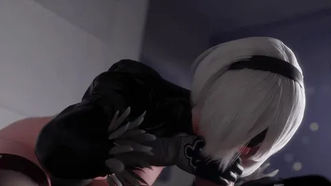 2B did nothing wrong