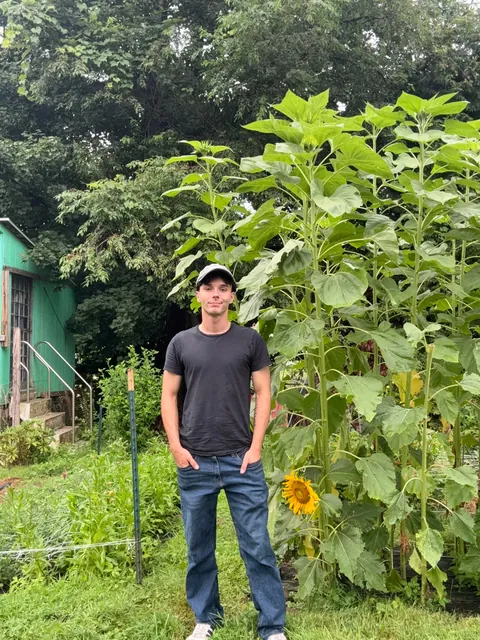 First year flower farm update