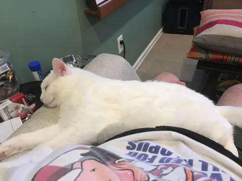 Nine Years &amp; Counting