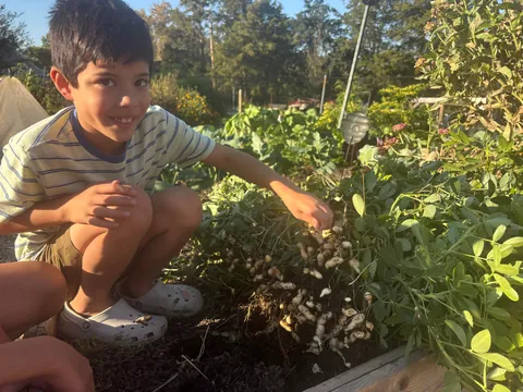 favorite harvest of the year