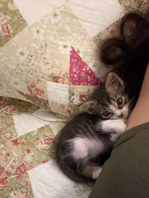 Taco before - taco now