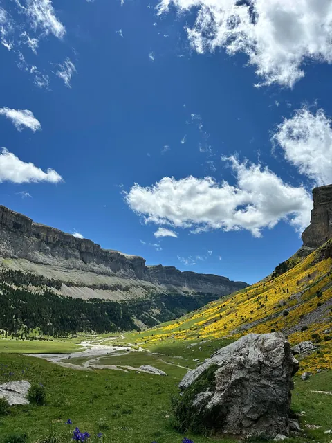 Just Chilling in the Nature (Spain)