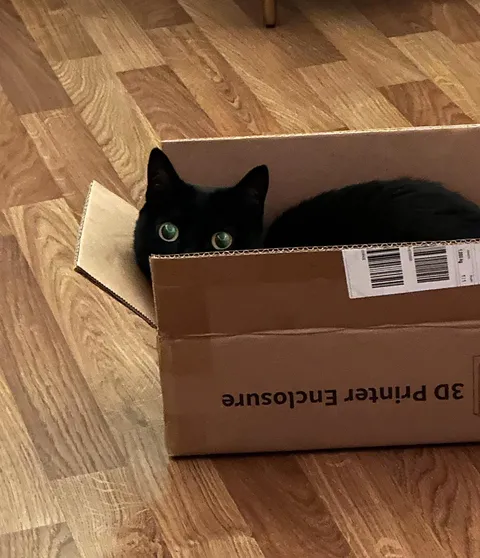 I love him so much, how did I get so lucky 