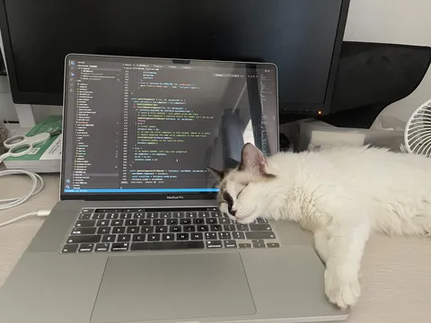 How do I convince my cat that my keyboard is not a pillow? 😼