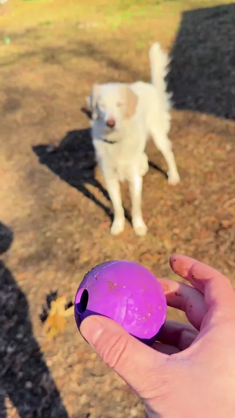 Willa isn’t the most coordinated but she still has fun