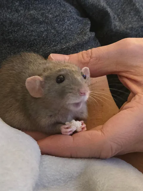 Jimmy little baby, you look so cutie