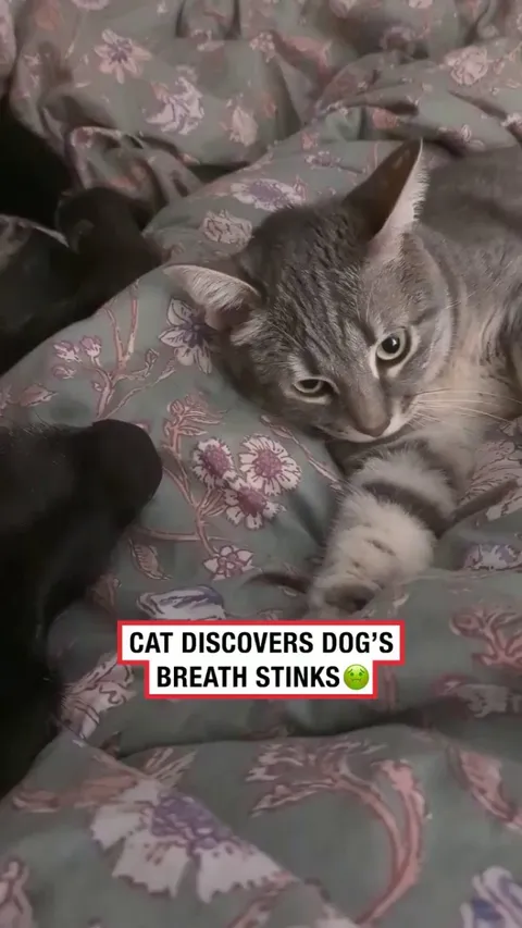 The reaction at the end 😅