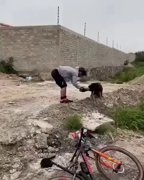 This makes me so happy to see! I also love how thankful he is ❤