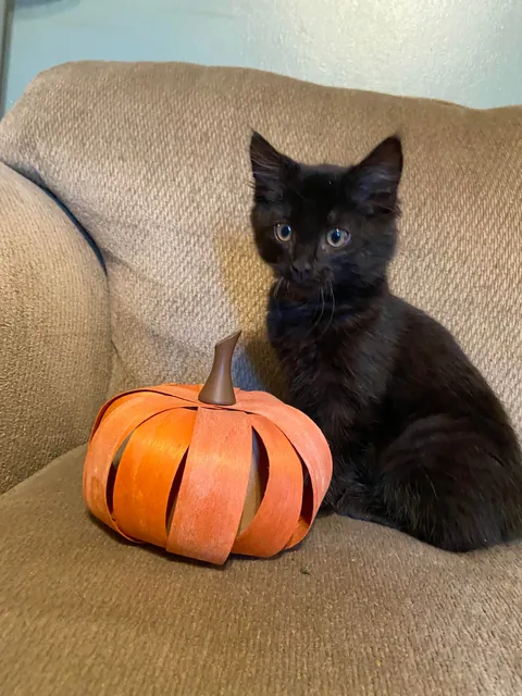 How it started...how it's going