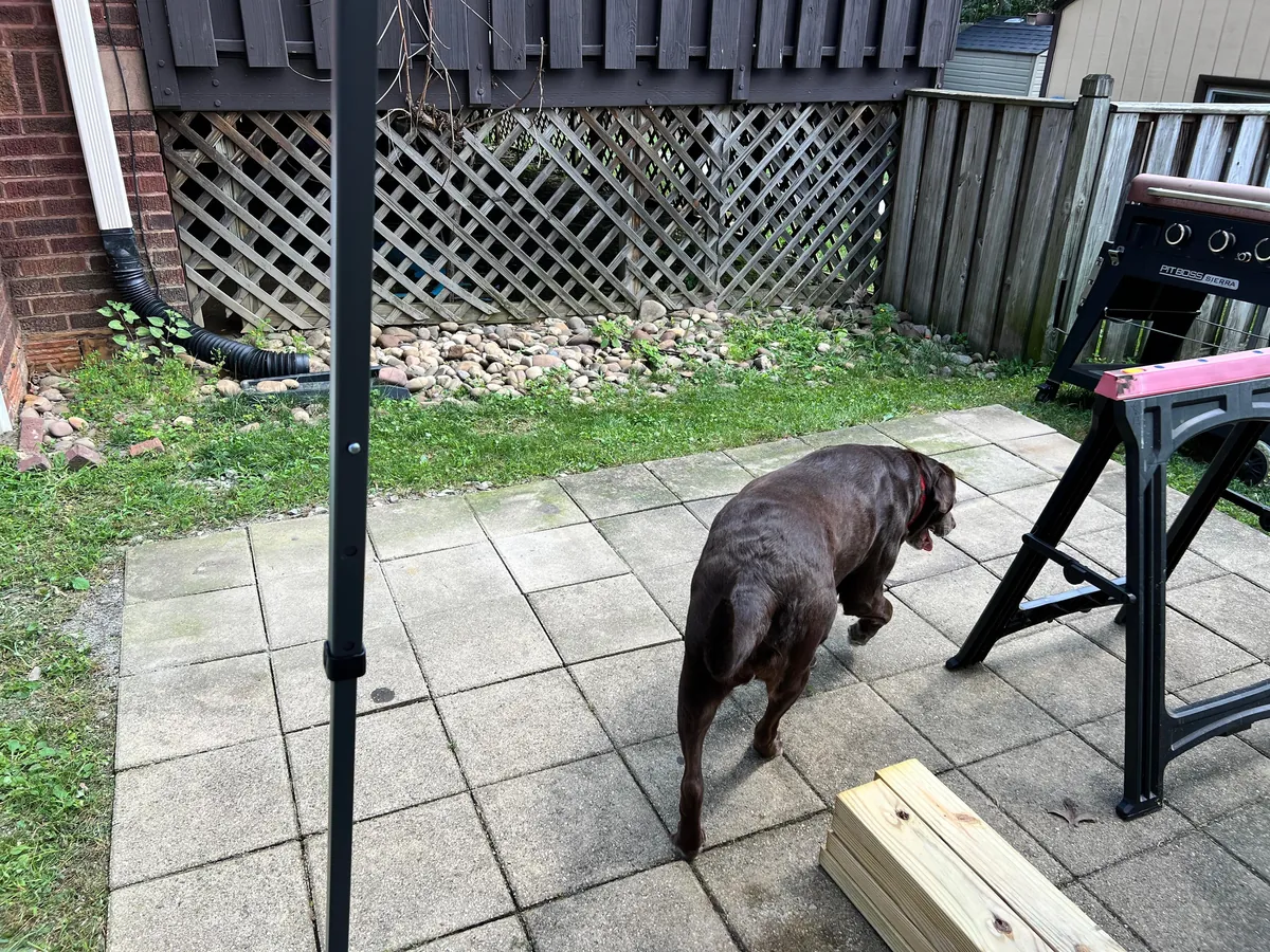 This started as a way to organize my grills…