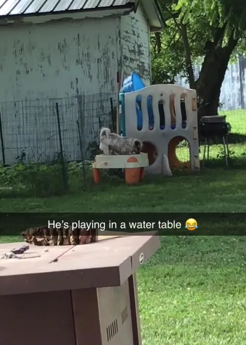 More pictures of Chief being unapologetically himself