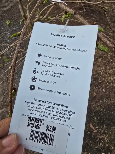 I got the deal of the year!!! 20 bucks