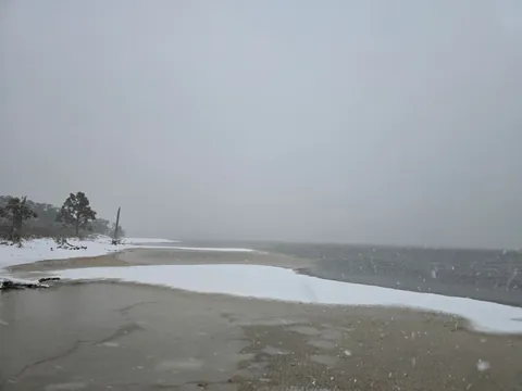 Where the snow meets the gulf of Mexico.