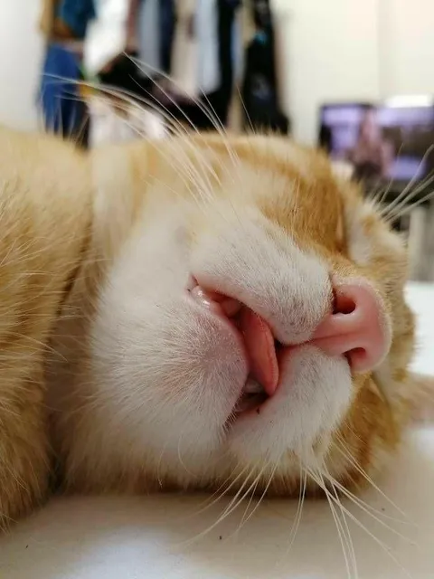 Sweet dreams, little one!