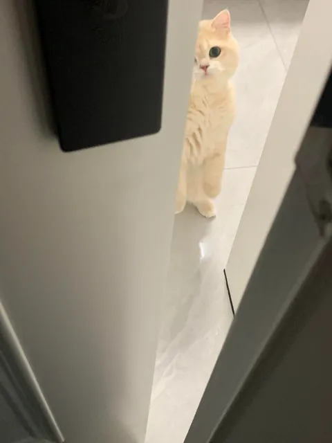 For some reason, it’s always staring at me.