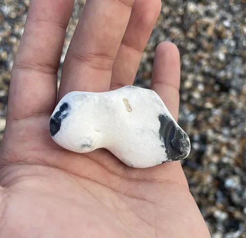 This rock I found looks just like Snoopy