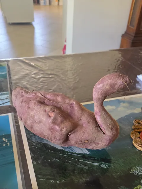 My sweet potato appears to be fowl
