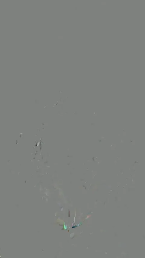 Give the name of my Latina tits (reveal)