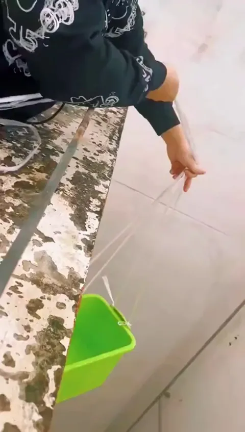 People rescuing a cat stuck in a dangerous place.