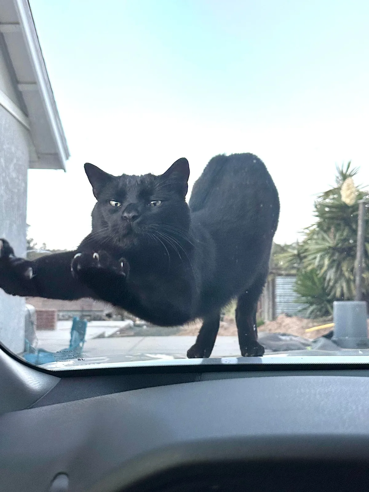 My handsome waiting for me to get out the car 