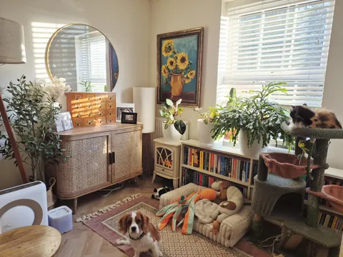 Cosy Saturday afternoon, loving how the light filters through