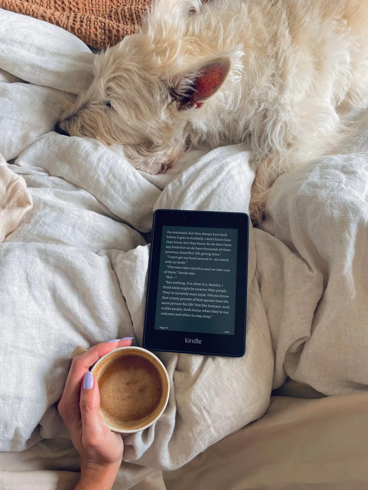 Trying to romanticize my rent🤭