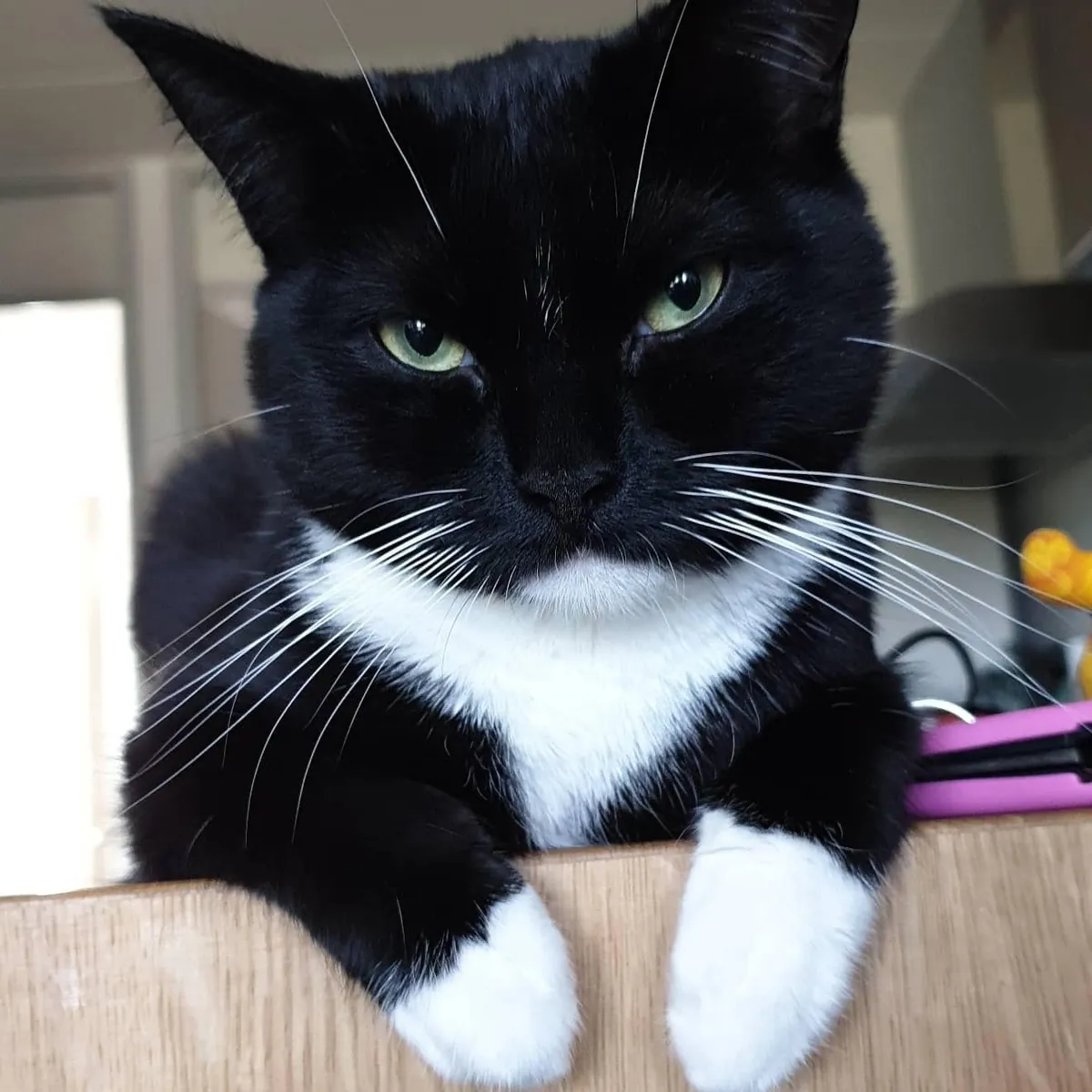 My little lady is already 6, time flies