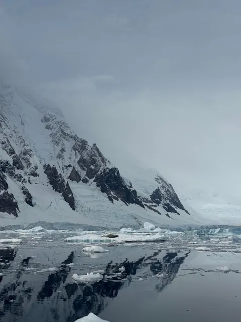 I just got back from Antarctica. It was life changing.