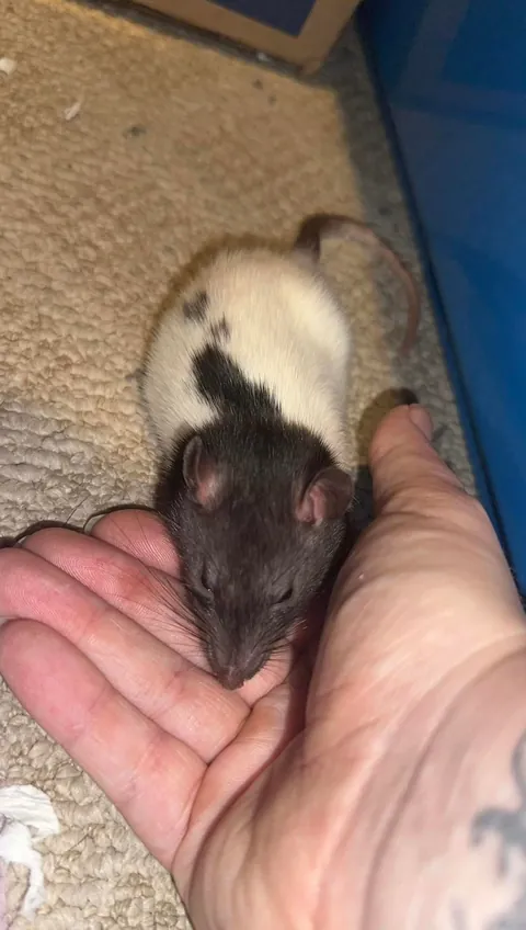 Our biggest and our littlest 🥹