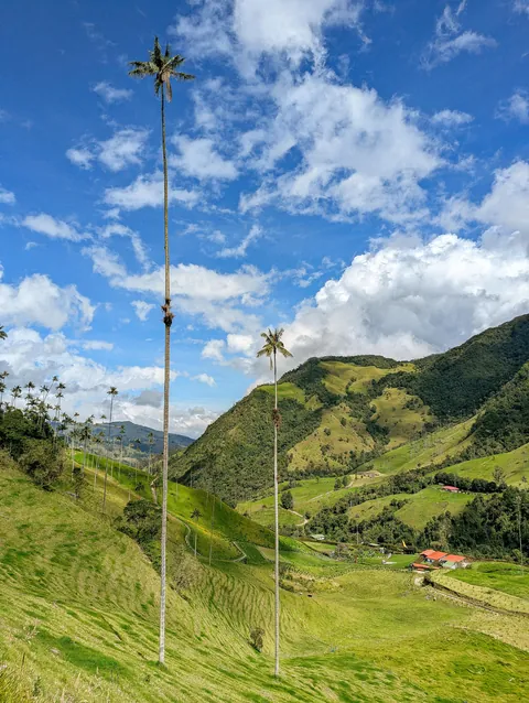 Colombia is such a vibrant country, bursting with gorgeous colours.