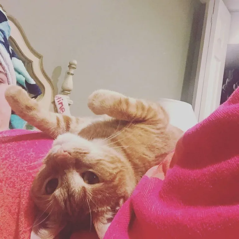 I said goodbye to my best friend this morning, and I’m having trouble believing I made the right choice