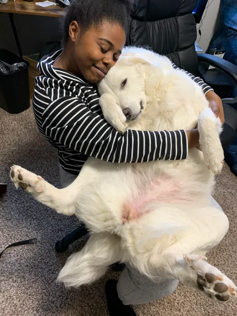 She’s 7 months old and loves being held like she isn’t huge