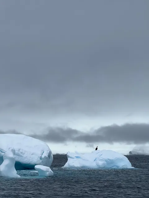 Otherworldly photos from recent trip to Antarctica!