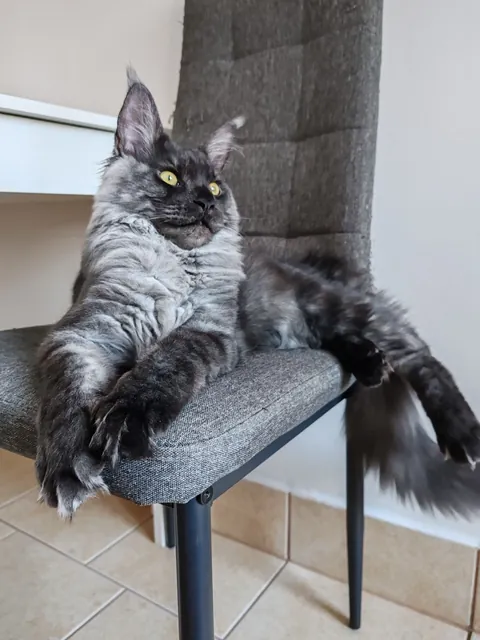 Théoden turned 6 months old