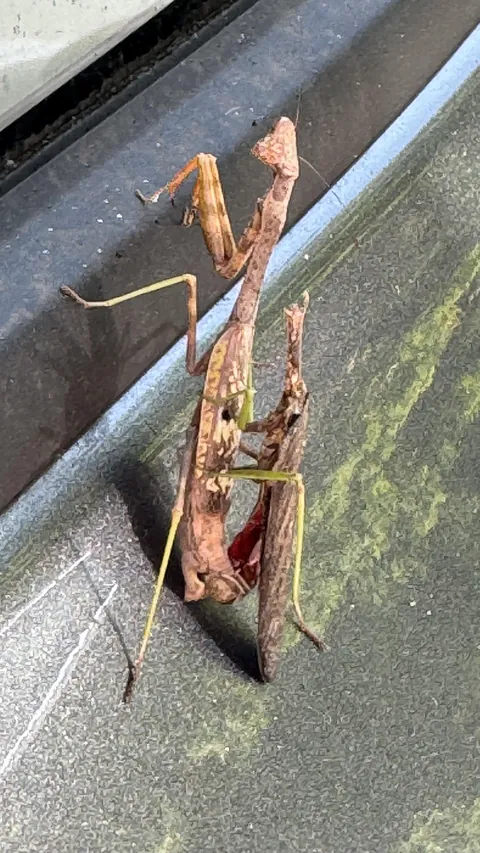 Too late to warn him. Hope he had a good time