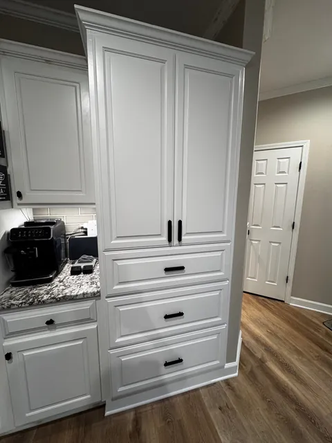 Second big home project! Gutted our old pantry closet
