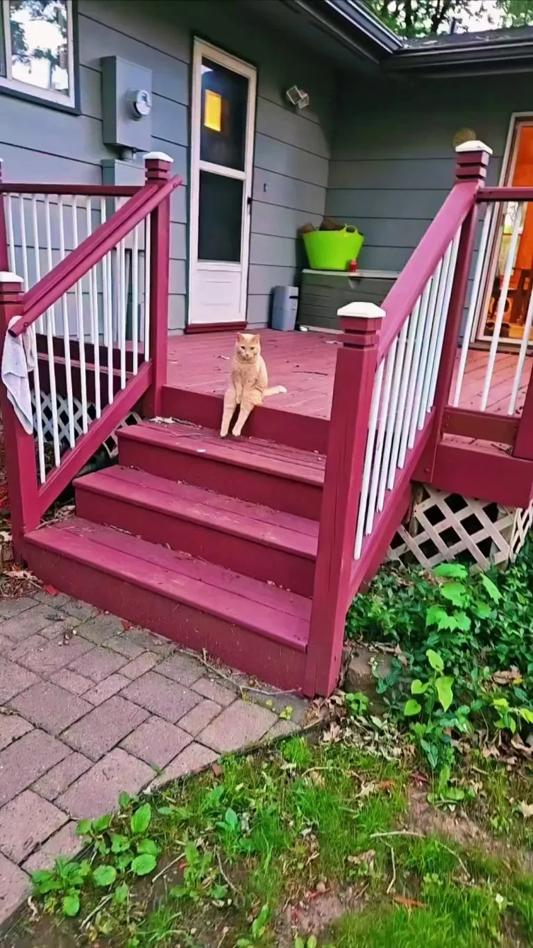 Should I wake them up at 3 am... or make it 4 am