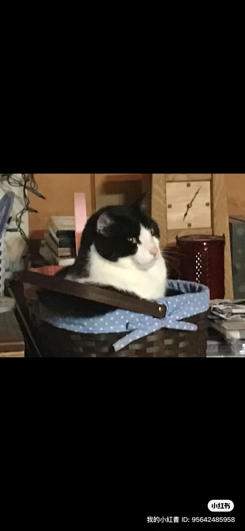 she was my best friend for 16 years…