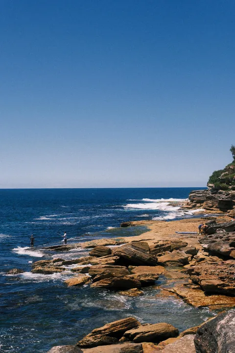 Our first week in Sydney