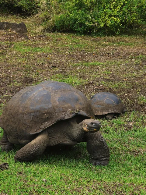 5 days in Galapagos in Sep 2025.