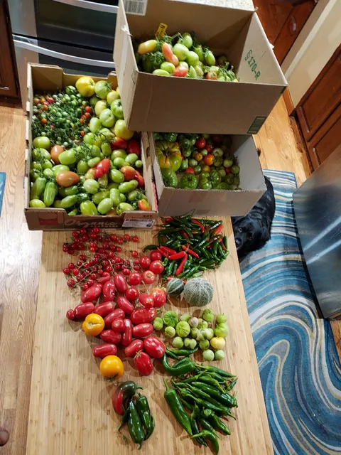 Final harvest