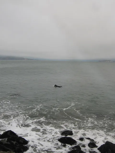 A few days in San Francisco, USA